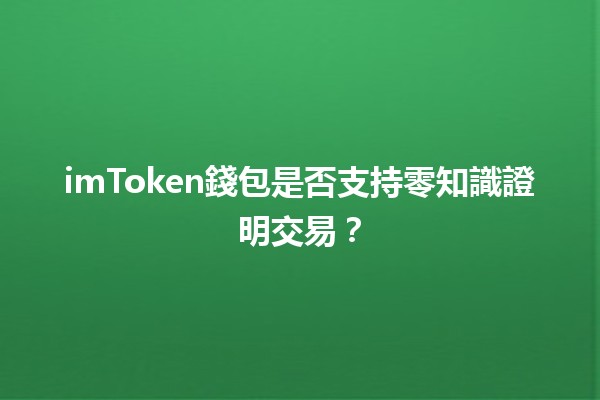 imToken錢包是否支持零知識證明交易？🤔💰